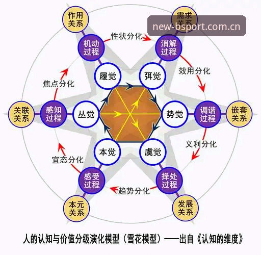7个关键维度解析b体育体育品牌的崛起之路与投注体验